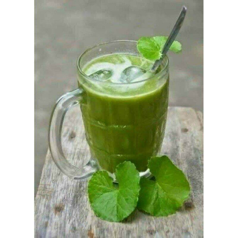 Bột rau má sấy lạnh nguyên chất