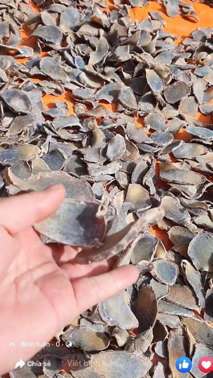 nghệ đen thái lát phơi khô (1kg)