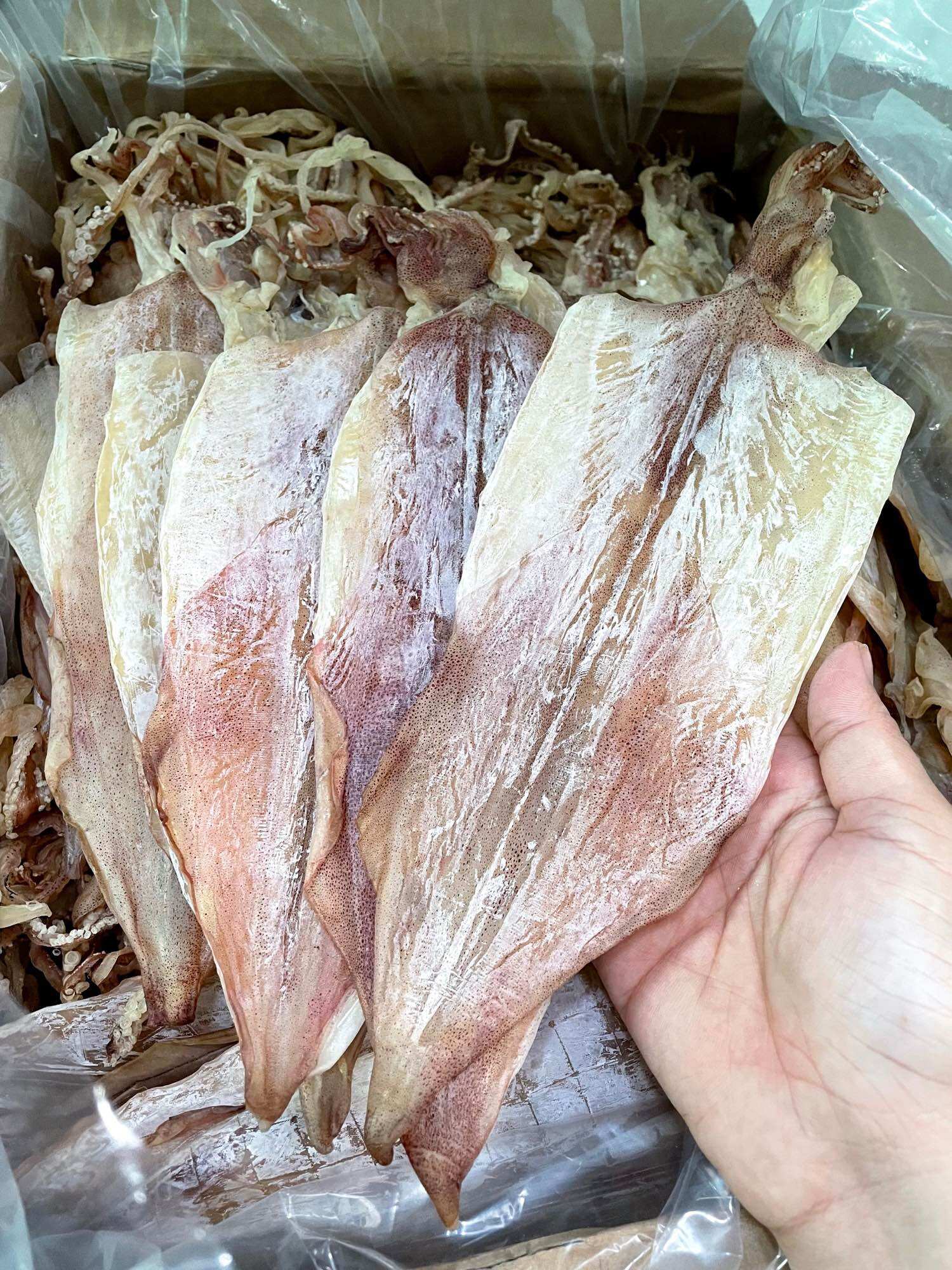 [HCM]500G KHÔ MỰC BIỂN VÙNG TÀU LOẠI NHẤT(18/12C/KG)[ GIAO HÀNG NHANH 4h HCM]