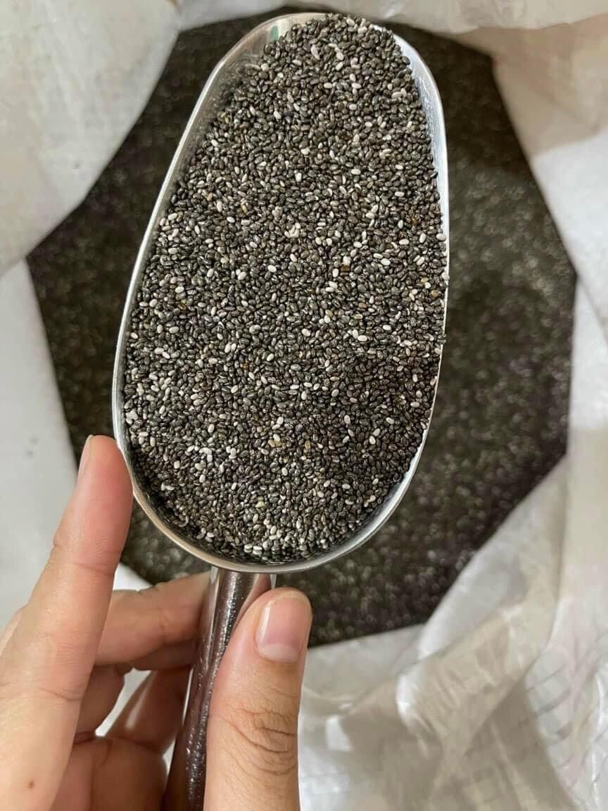 Hạt chia Nam Mỹ