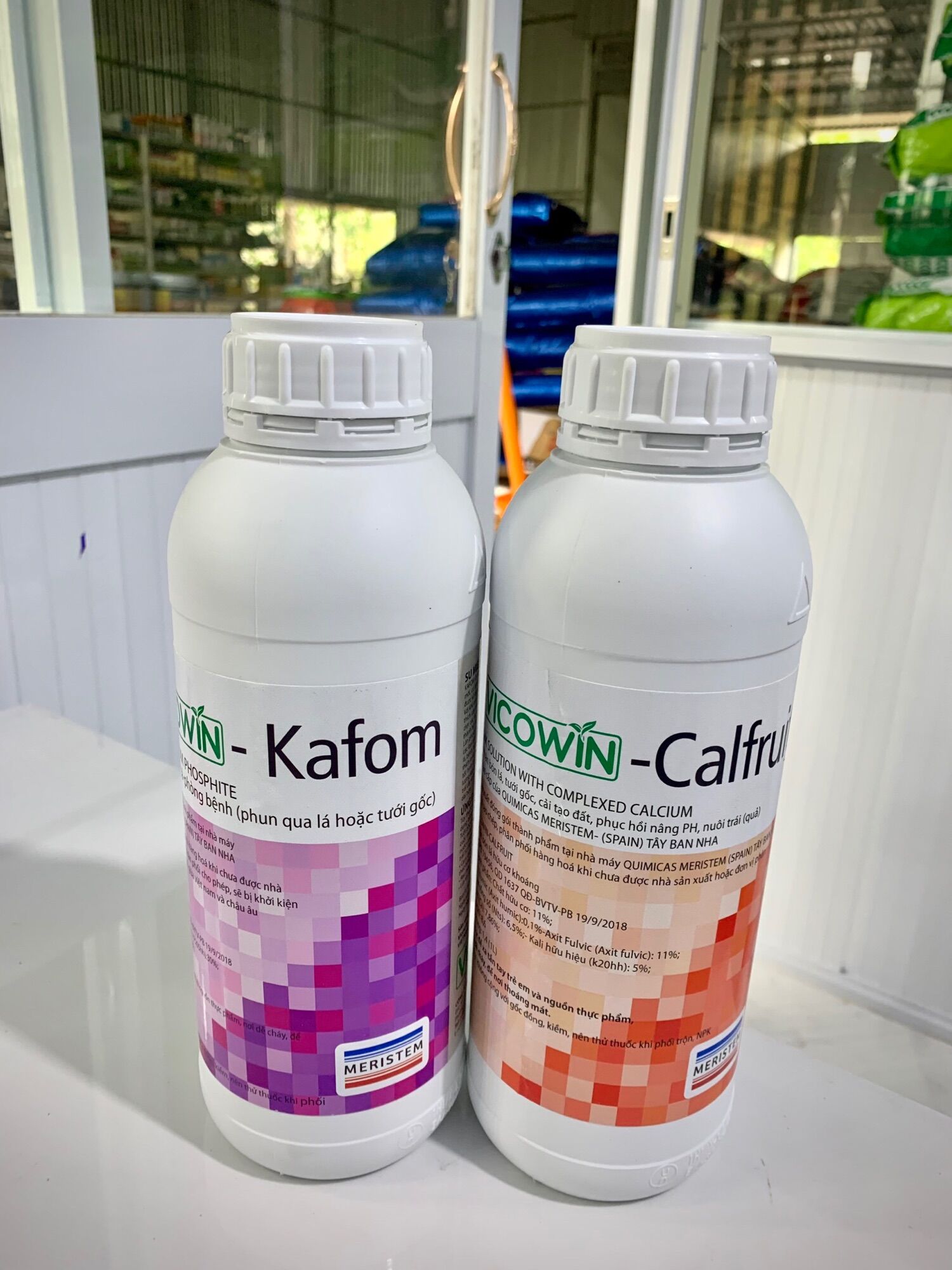 Cặp đôi tây ban nha vicowin
