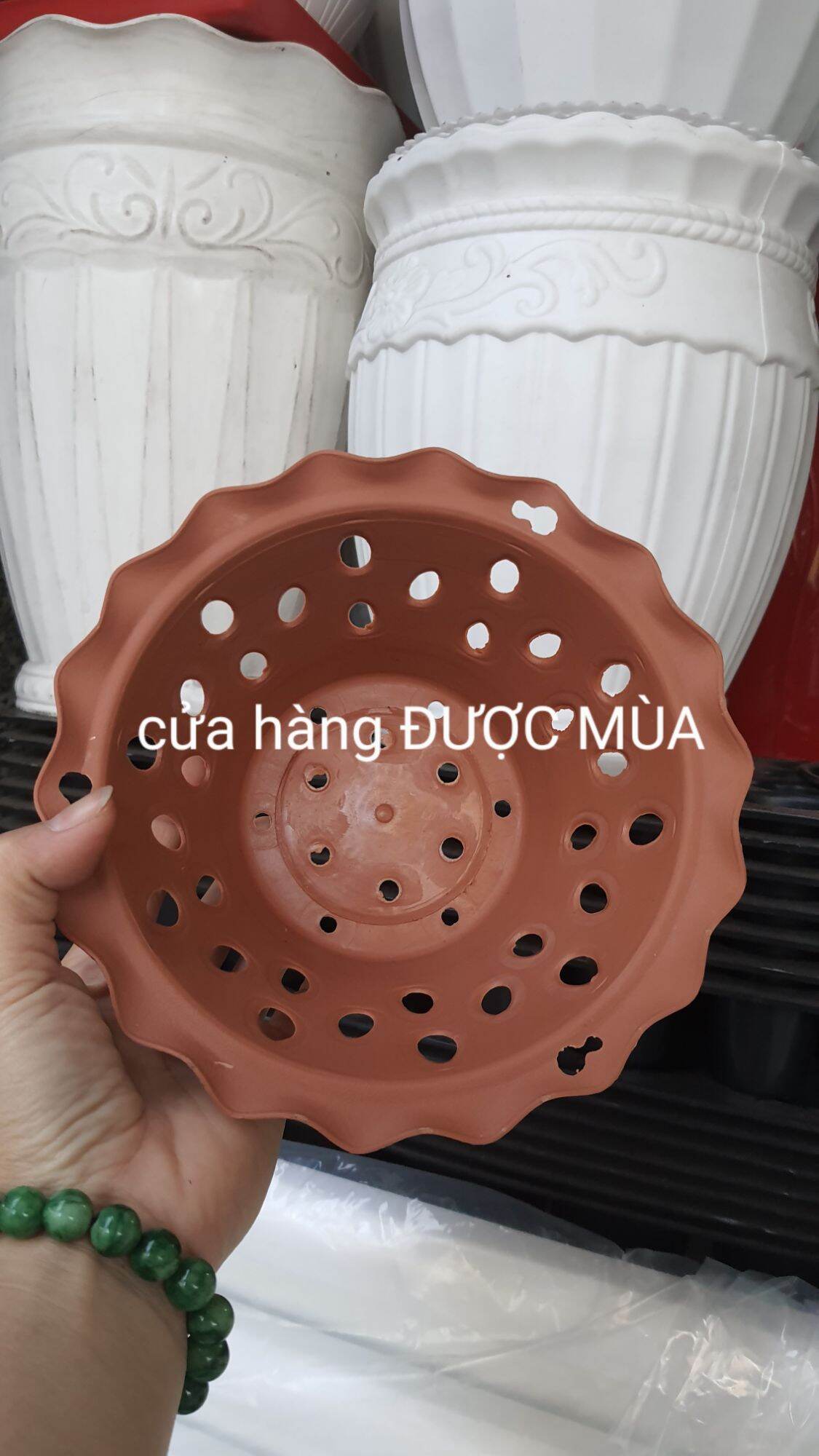 combo 10 cái chậu nhựa trồng lan phi 16 siêu đẹp