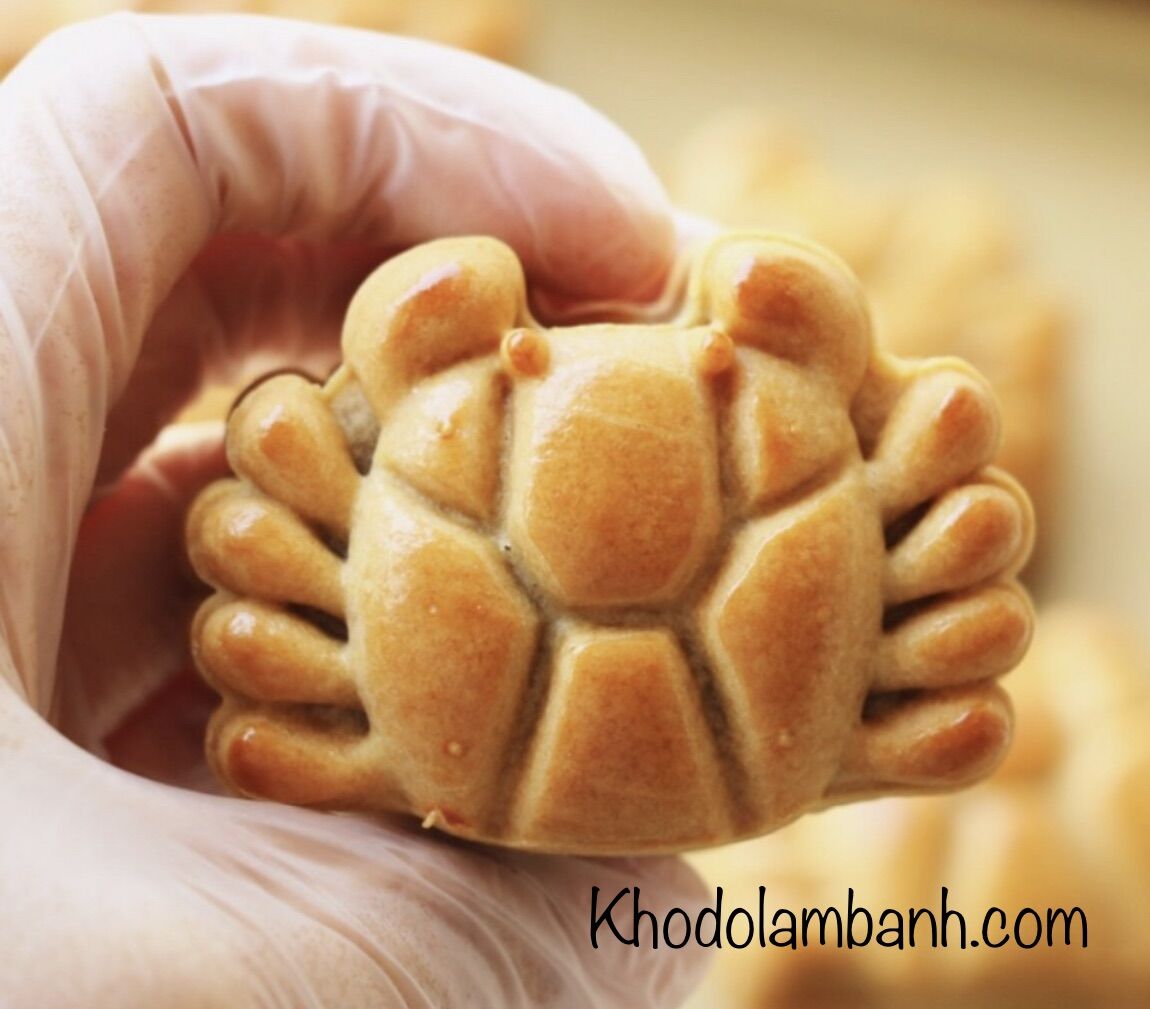 Khuôn trung thu cua 50g