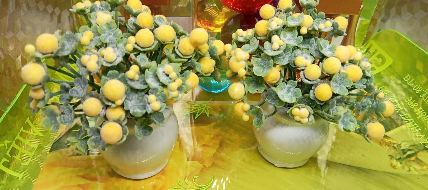 Chậu Cúc phiên bản mini