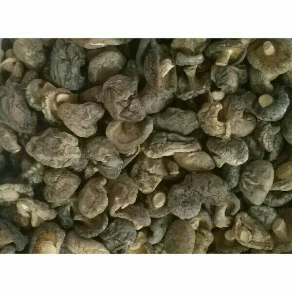 1kg nấm hương rừng