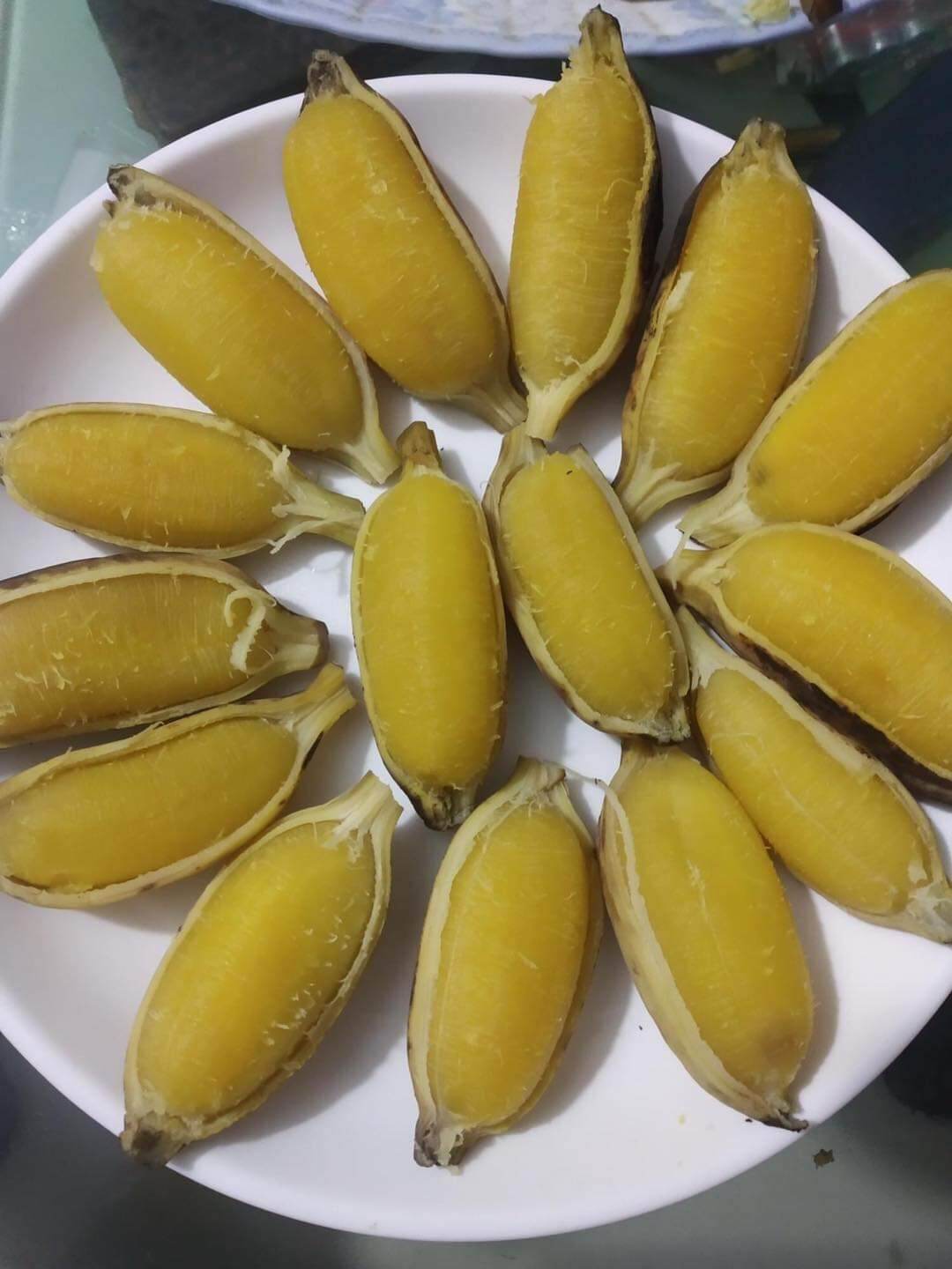 CÂY GIỐNG CHUỐI SÁP NGHỆ BẾN TRE (CÂY MÔ SIÊU SỚM)