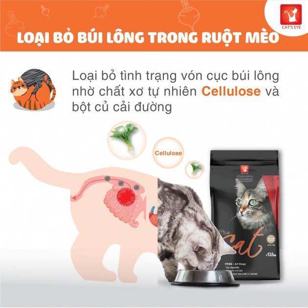 Cateyes mèo mọi lứa tuổi 13,5kg
