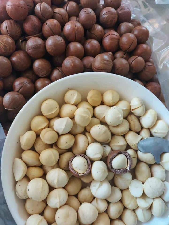 Hạt Macca Dăk Lăk - Hộp dinh dưỡng 500gr
