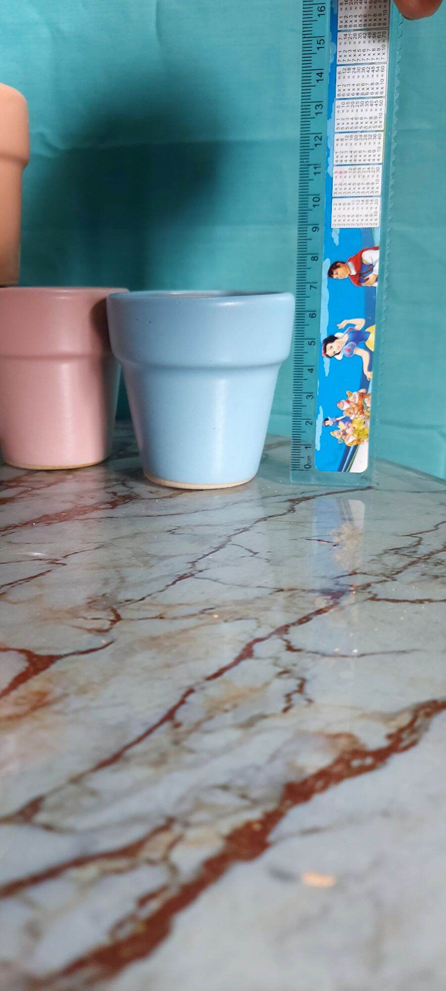 CHẬU SEN ĐÁ MINI GIÁ SIÊU RẺ