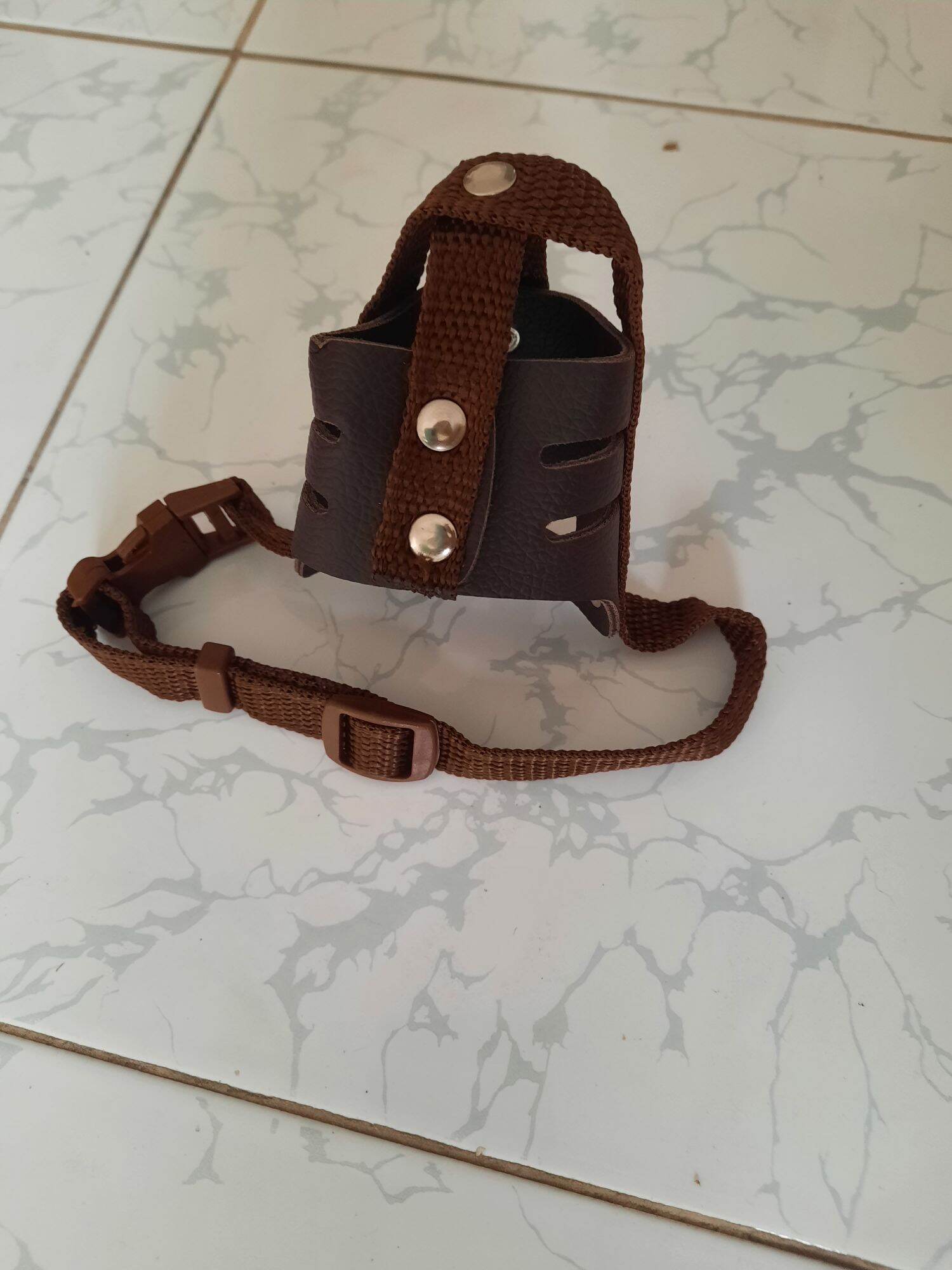 Rọ mõm chó, khớp mõm chó