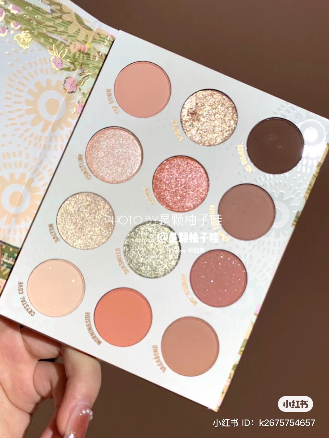 Bảng phấn mắt Colourpop Wild Nothing
