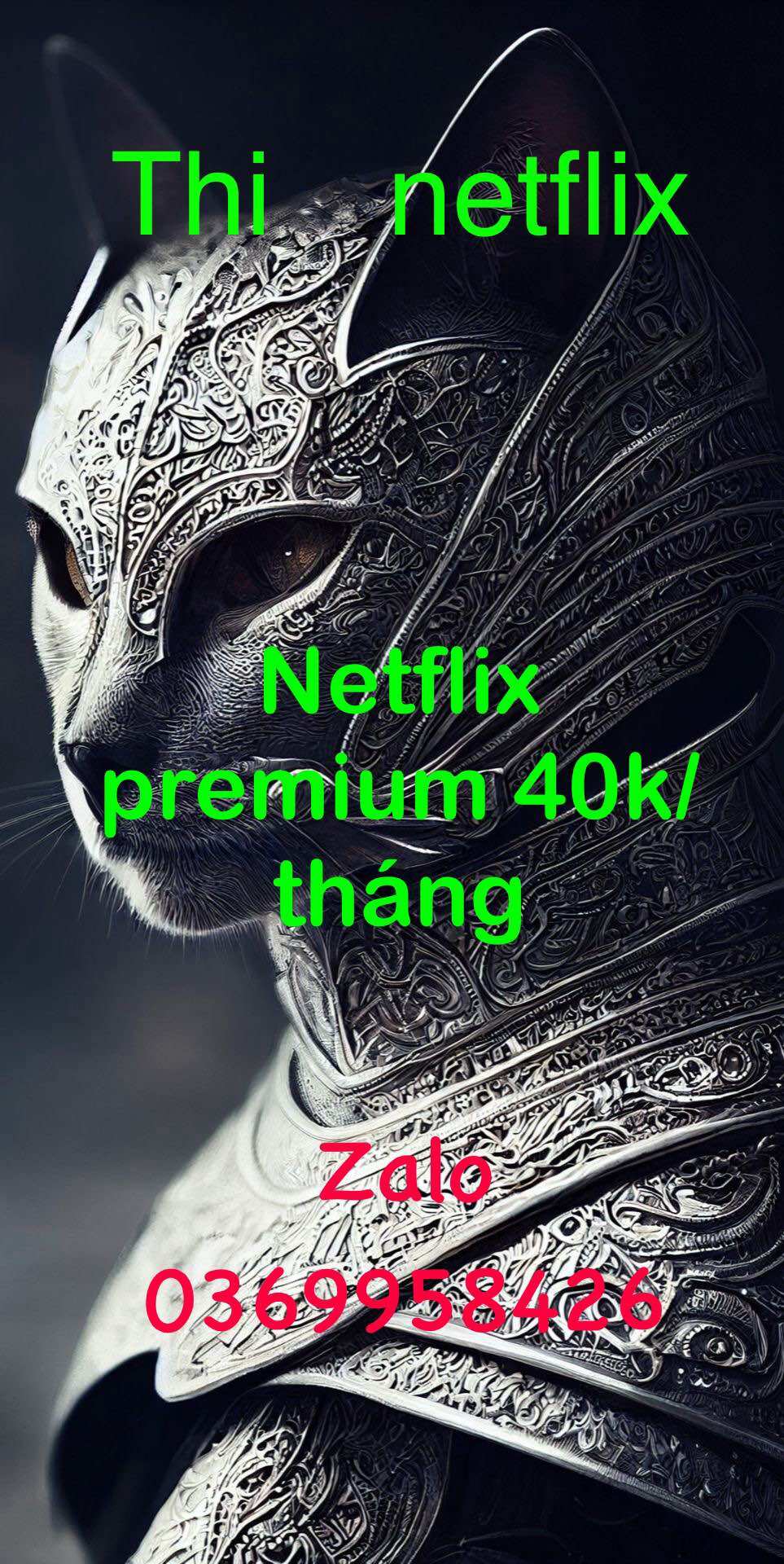 Netflix premium