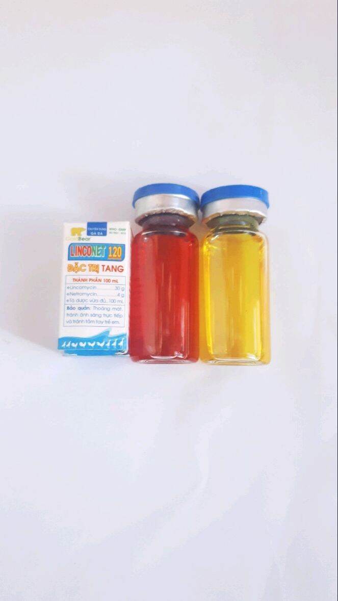 Bộ ba té gió/liệt chân gà
