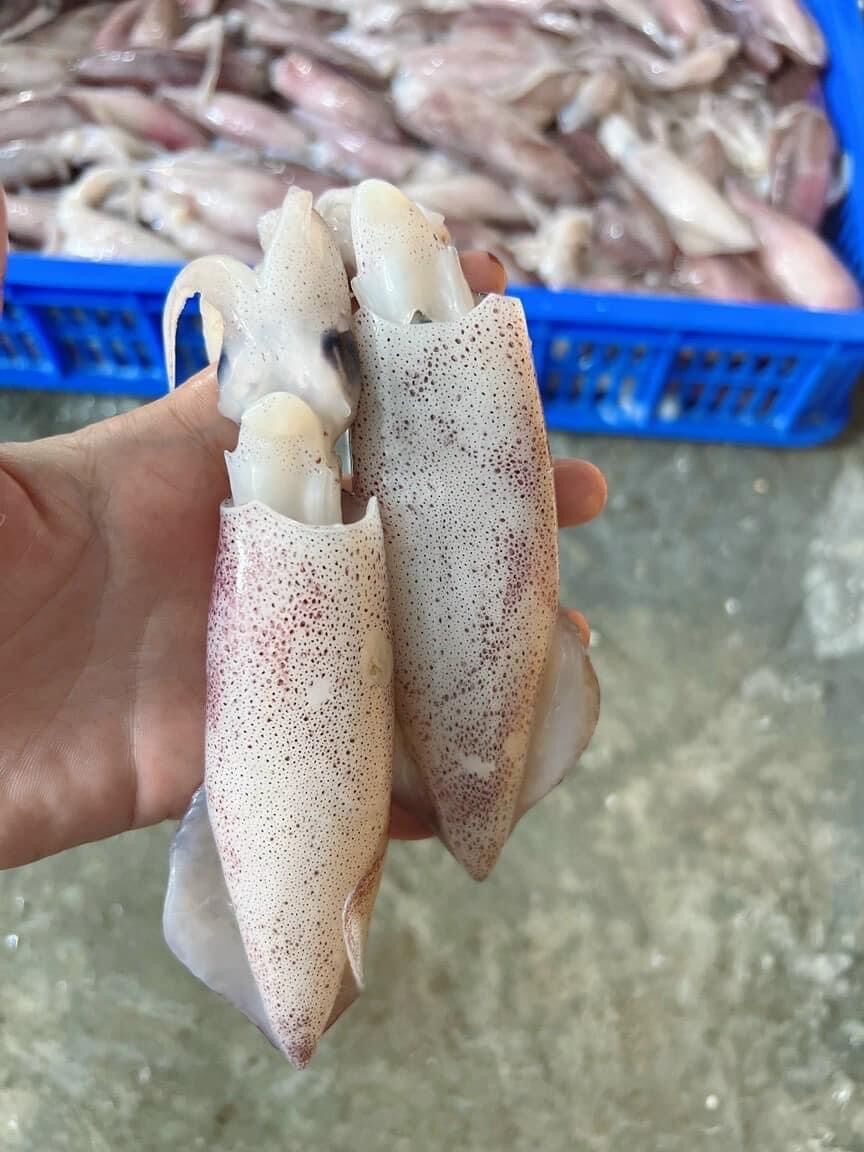 1kg MỰC TRỨNG TỰ NHIÊN (nét 8, size 18-20 con)