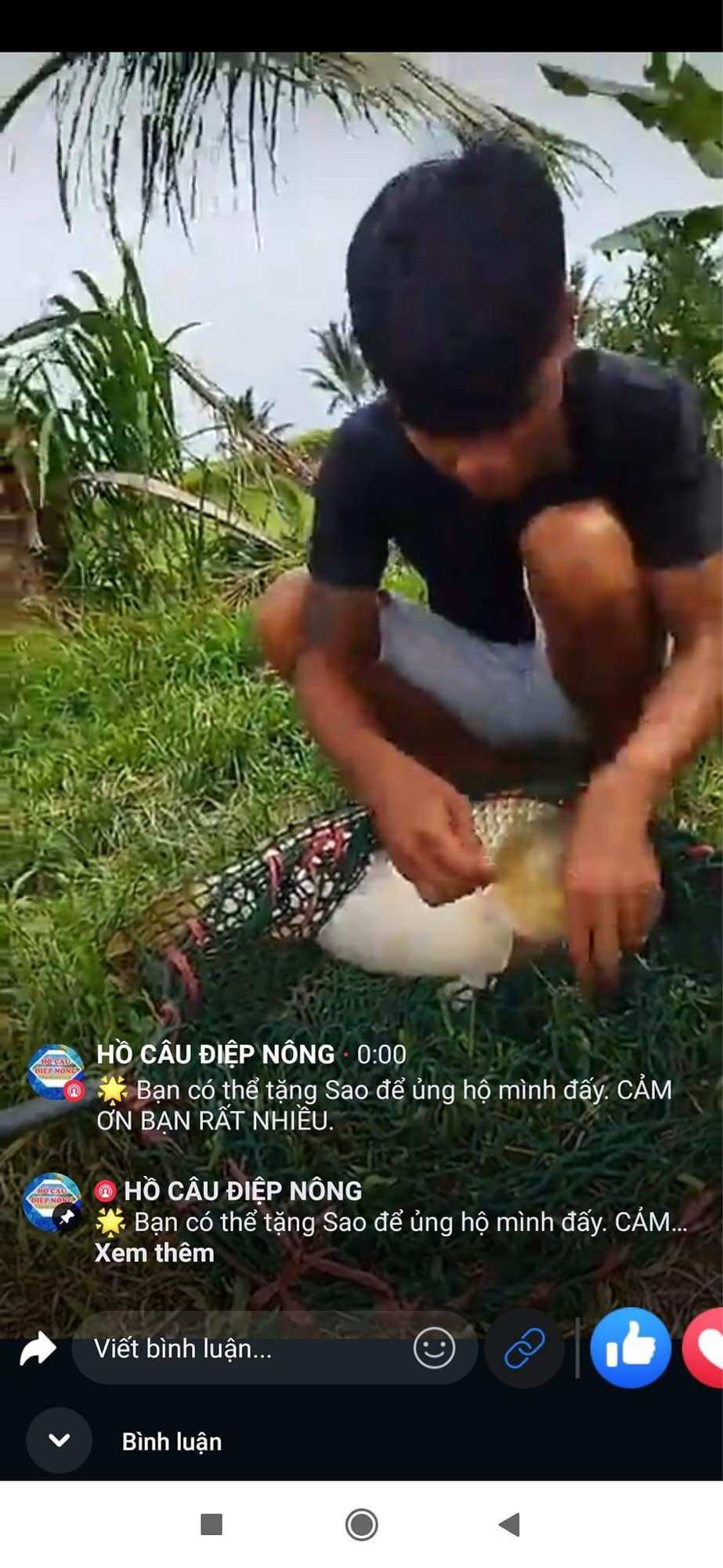 Thuốc bắc Đài Tặc