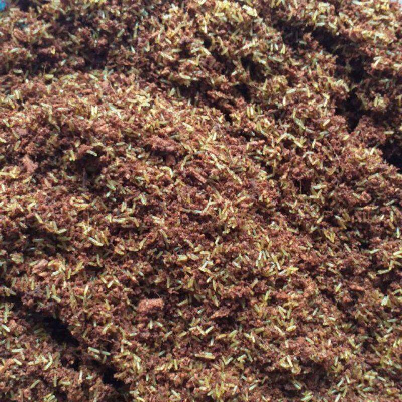 Trứng dế mèn thái vàng