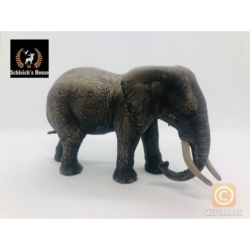 Mô hình động vật Schleich chính hãng Voi châu phi cái 14657 - Schleich House