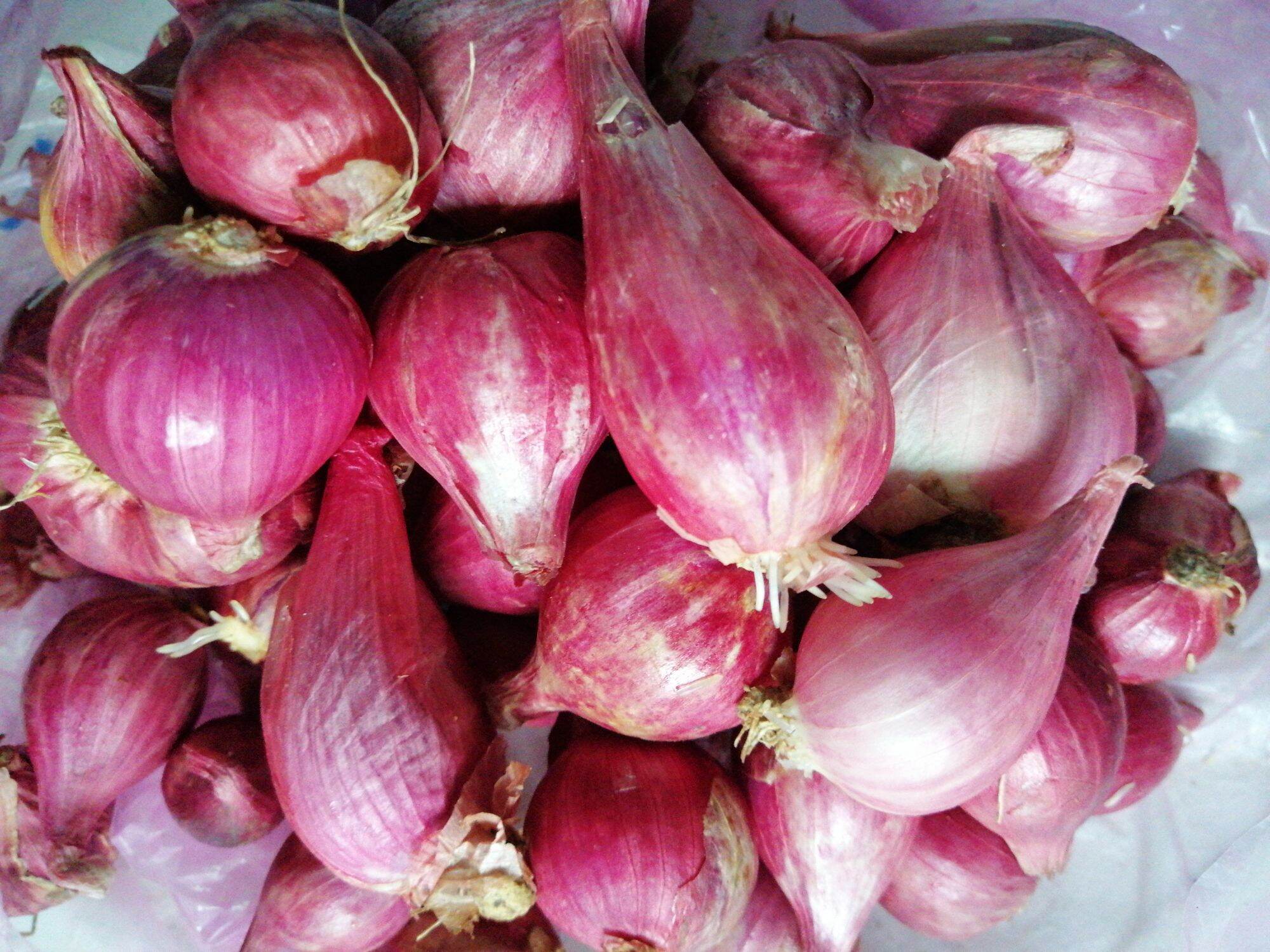 1kg hành củ tím, hành hương (đảo lý sơn  loại 1 củ to)
