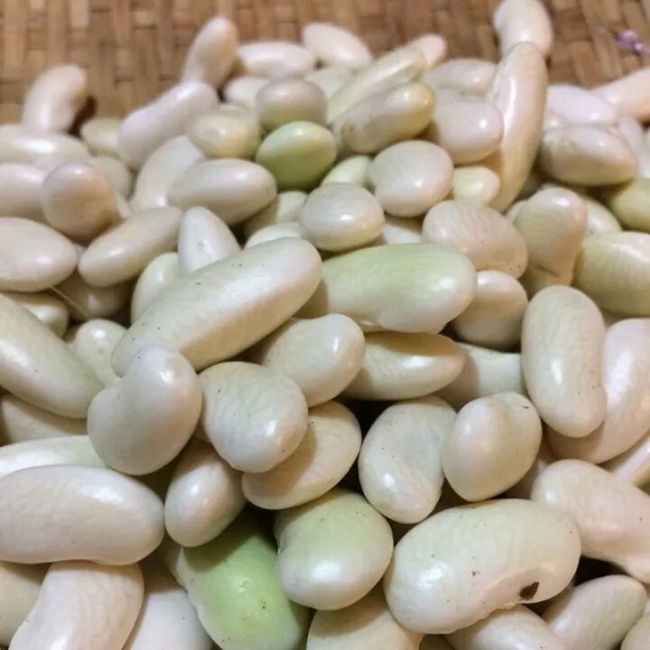 500Gr-1Kg Đậu Trắng Tây( Đậu Thận Trắng )