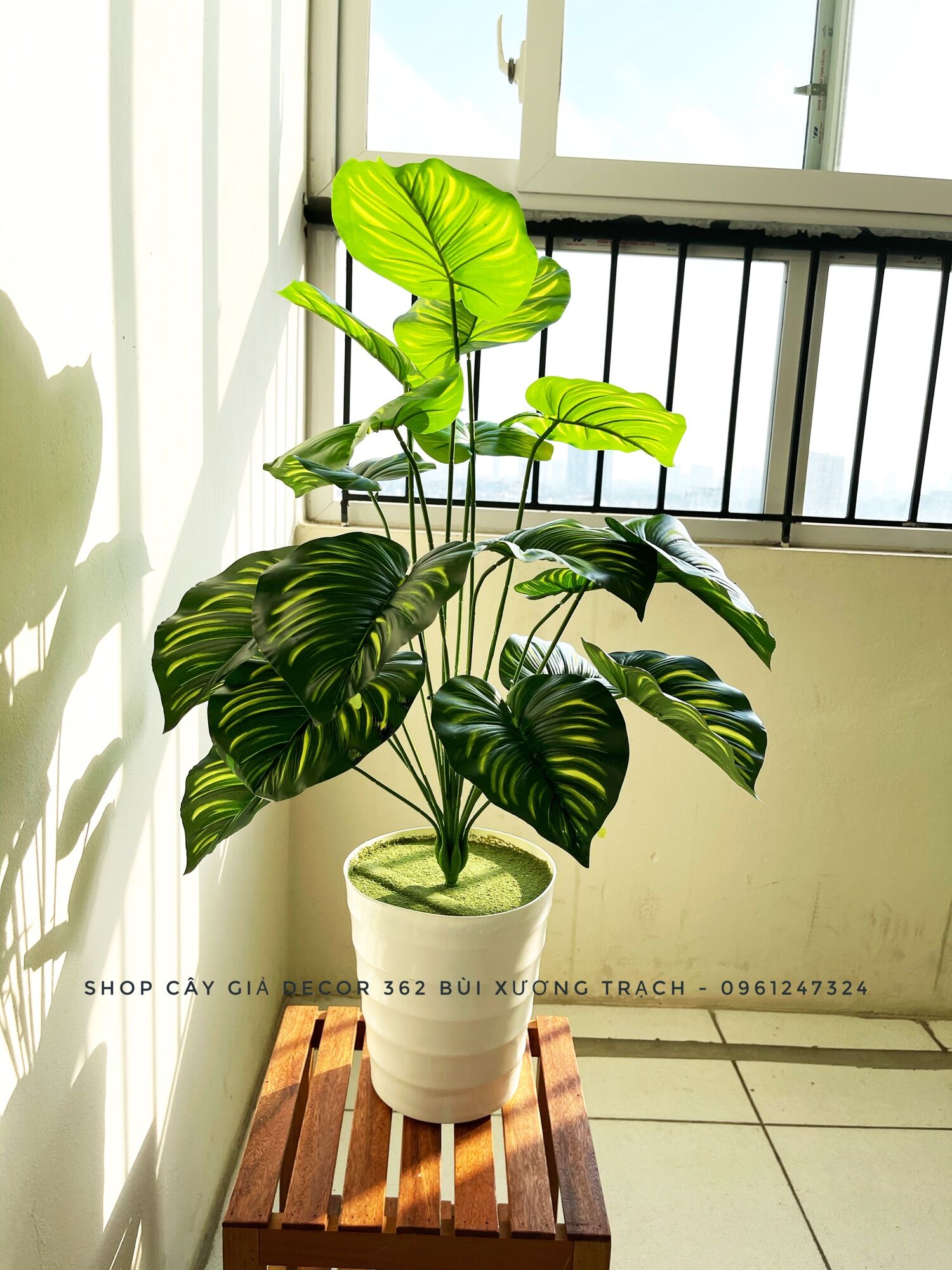 Cây trầu bà viền sọc 18 lá - cây giả decor - cây nhựa pvc