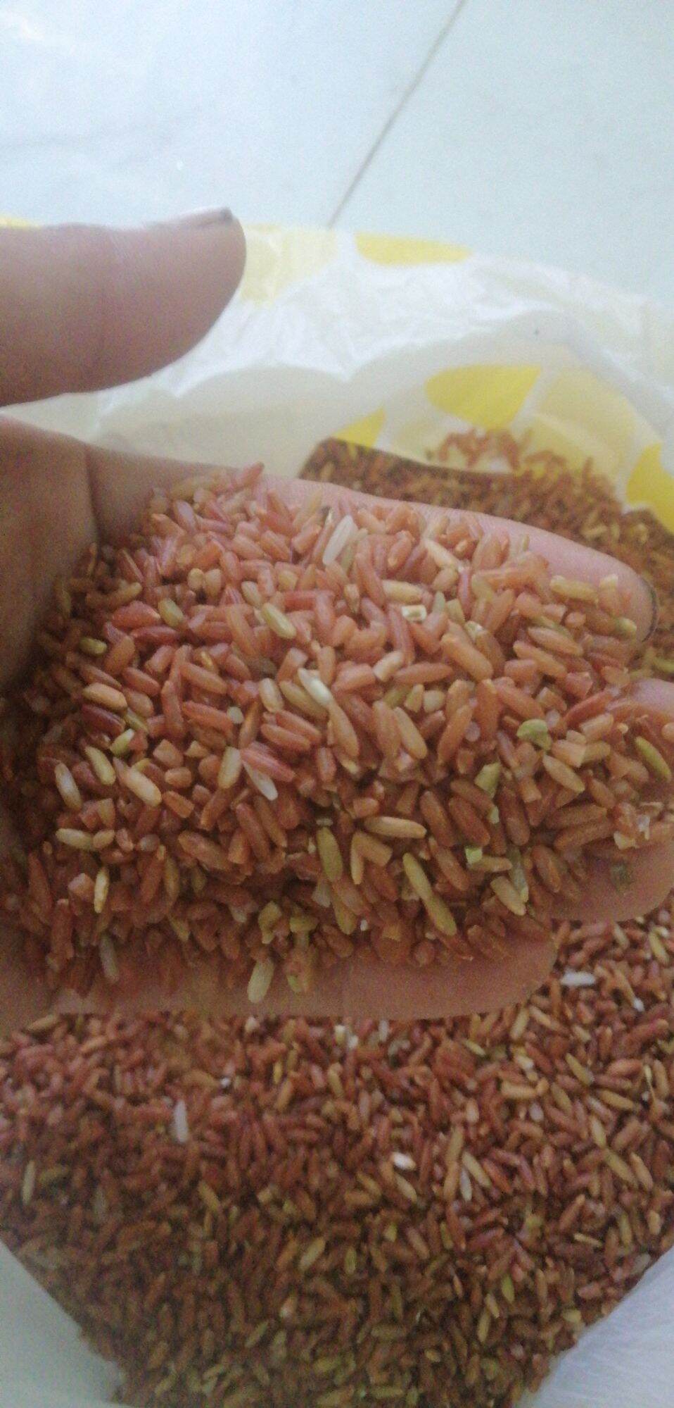 gạo đỏ, huyết rồng 30000 kg