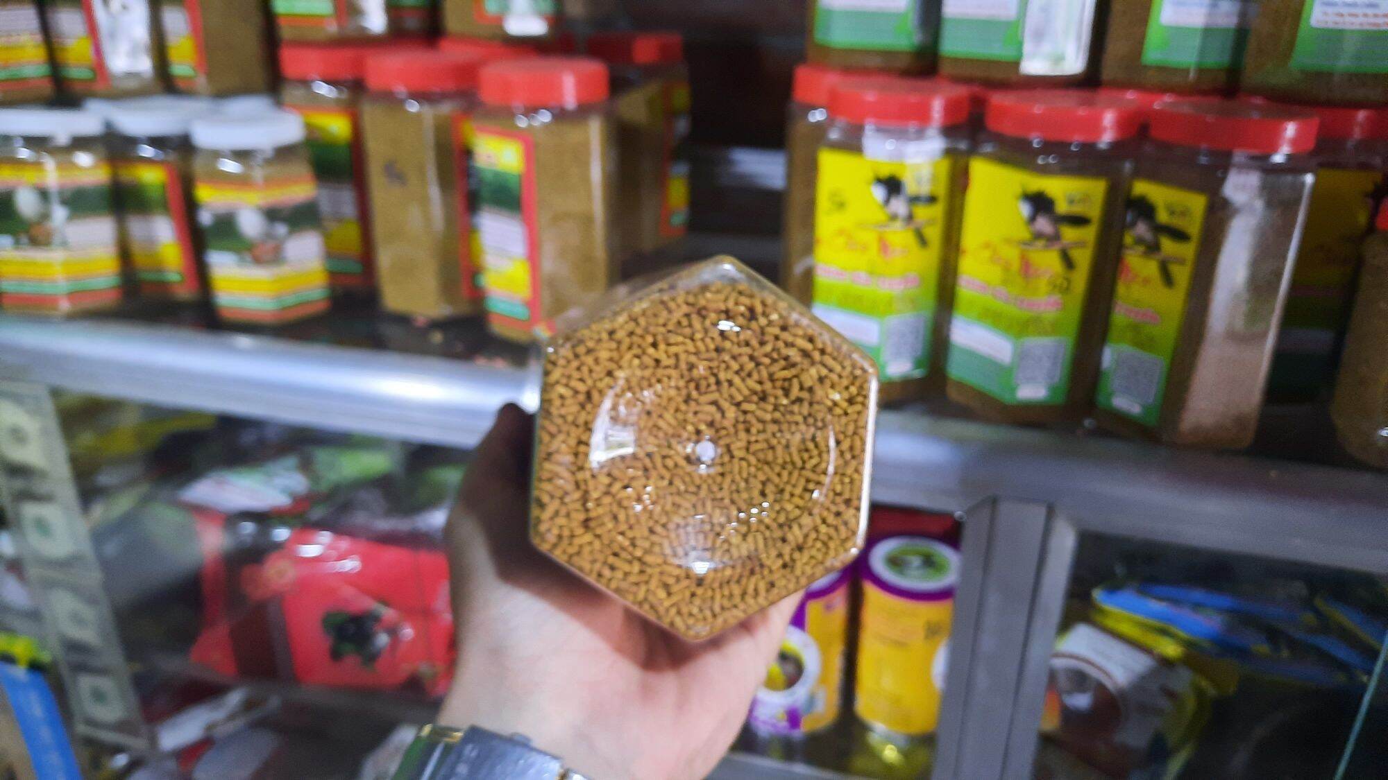 cám vương long chào mào số 2