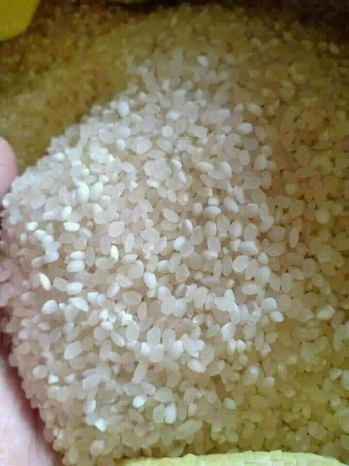 nếp nương Lào dẻo ngon túi 1kg