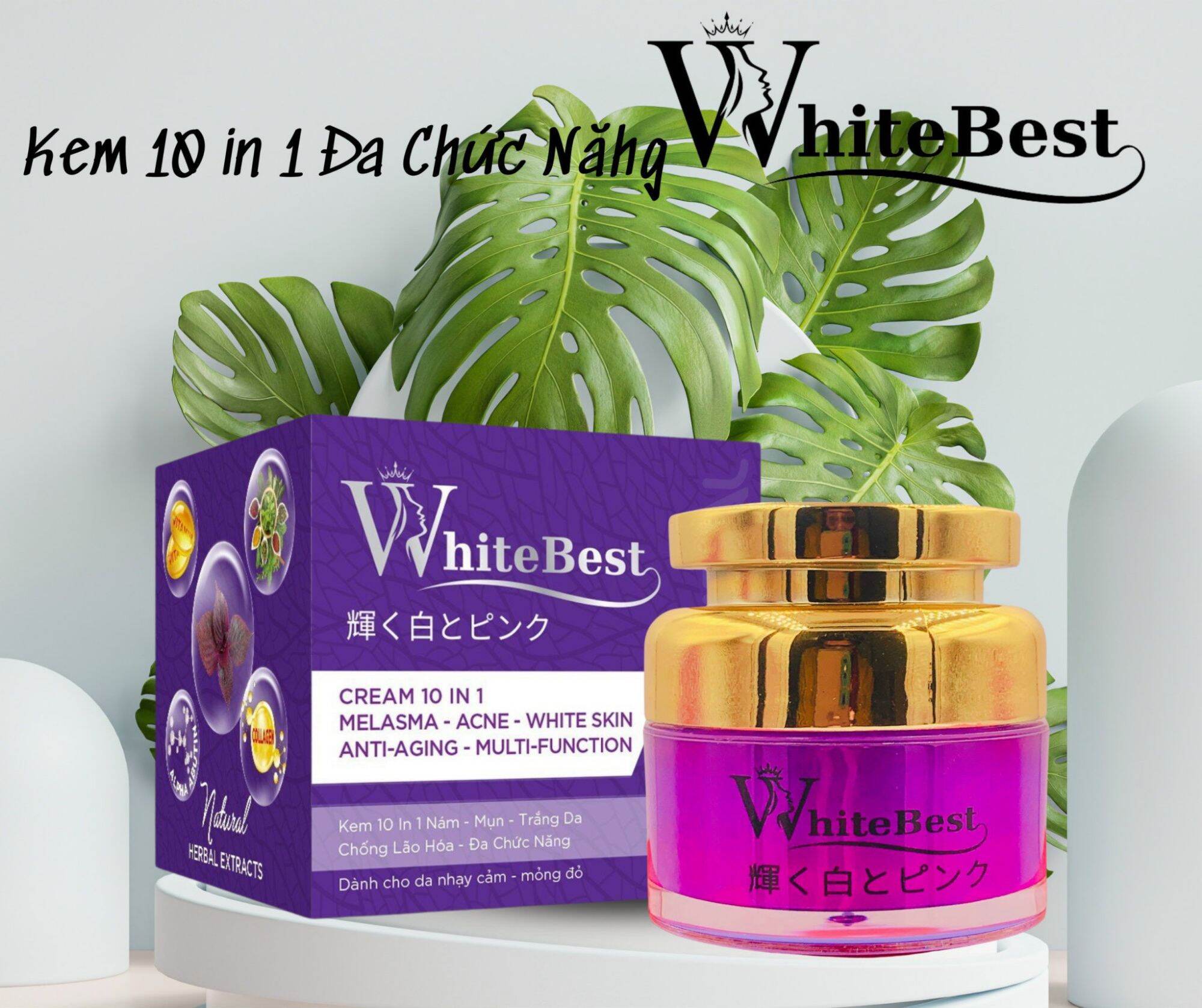 Kem white best dưỡng trắng da mụn nám lão hóa 10in1 18g