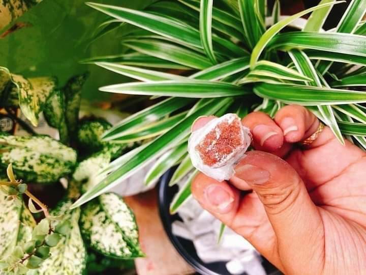 Kẹo gừng dẻo nguyên phấn 100g