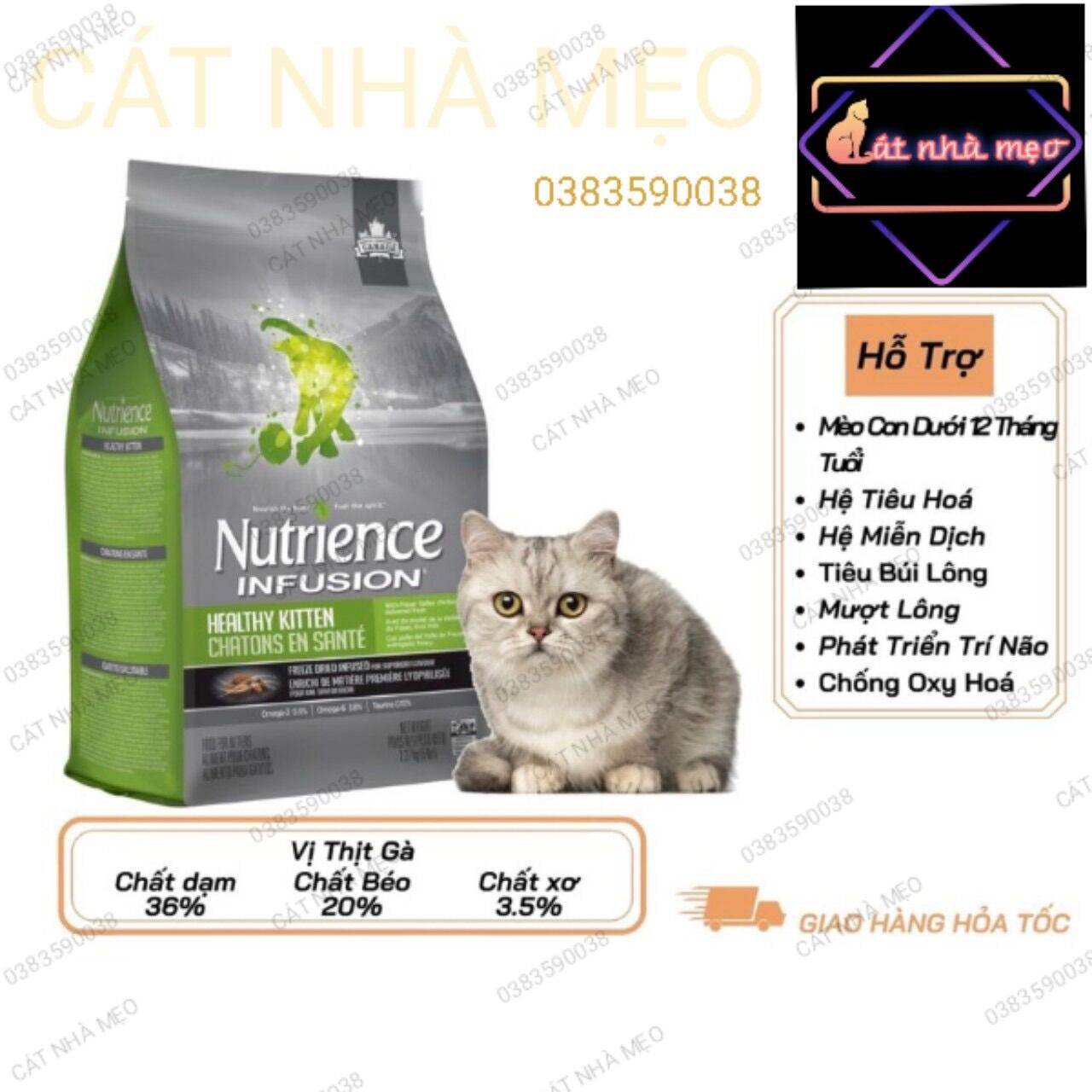 Thức ăn hạt cho Mèo con Nutrience Infusion Healthy Kitten bao 0,5/2,27kg - Cát nhà Mẹo
