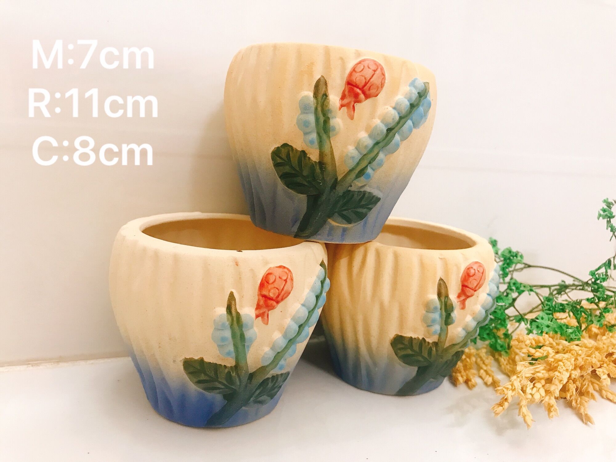 [HCM]Chậu trồng sen đá: bọ đỏ