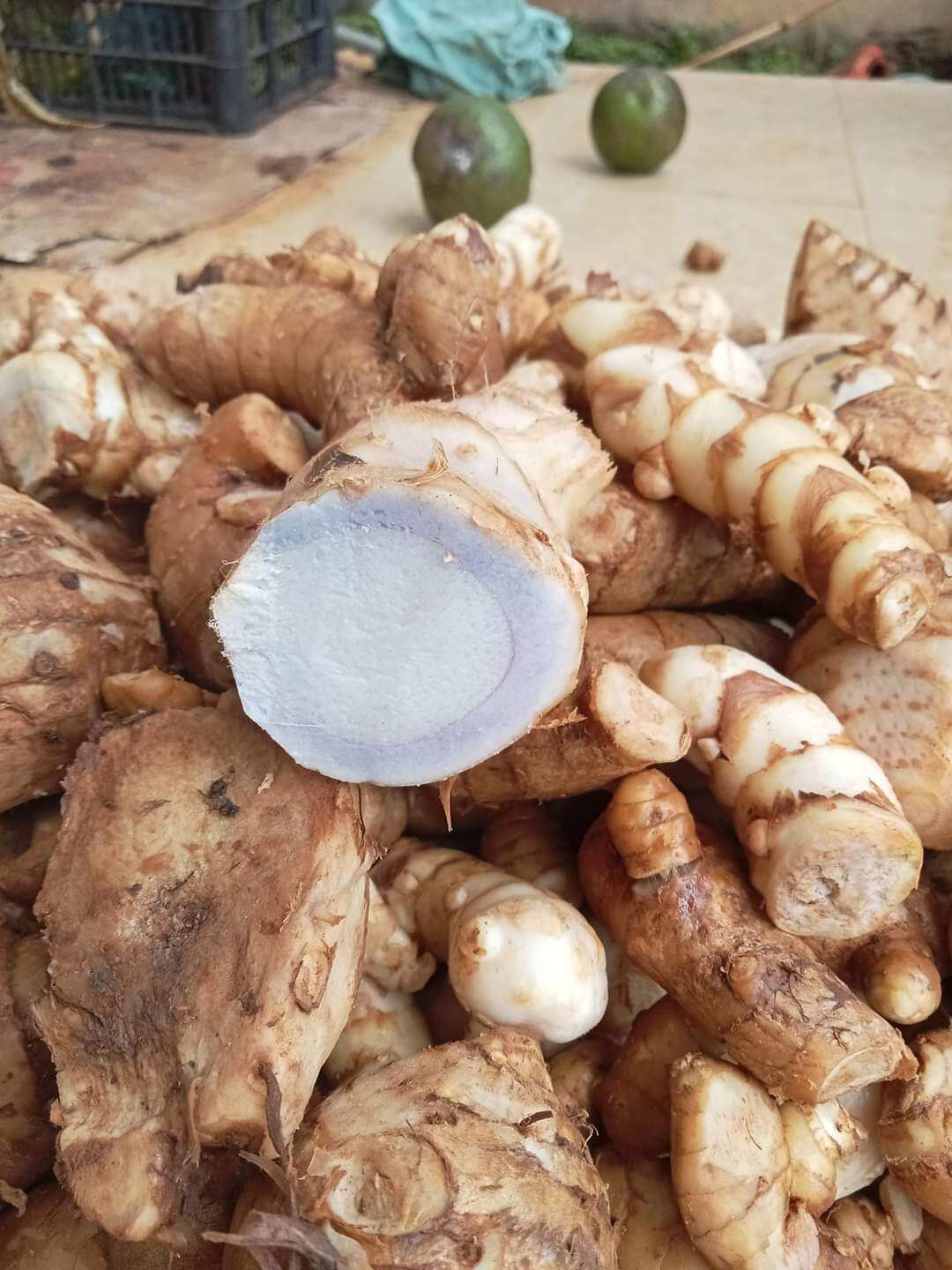 1kg nghệ đen củ làm giống