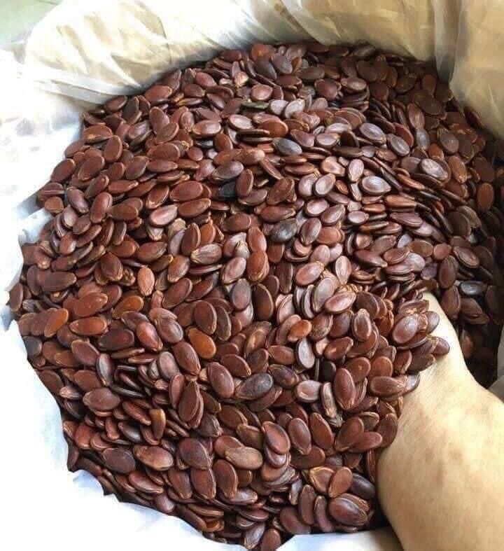 Hạt dưa sạch ngon Tứ Hưng hũ 500G