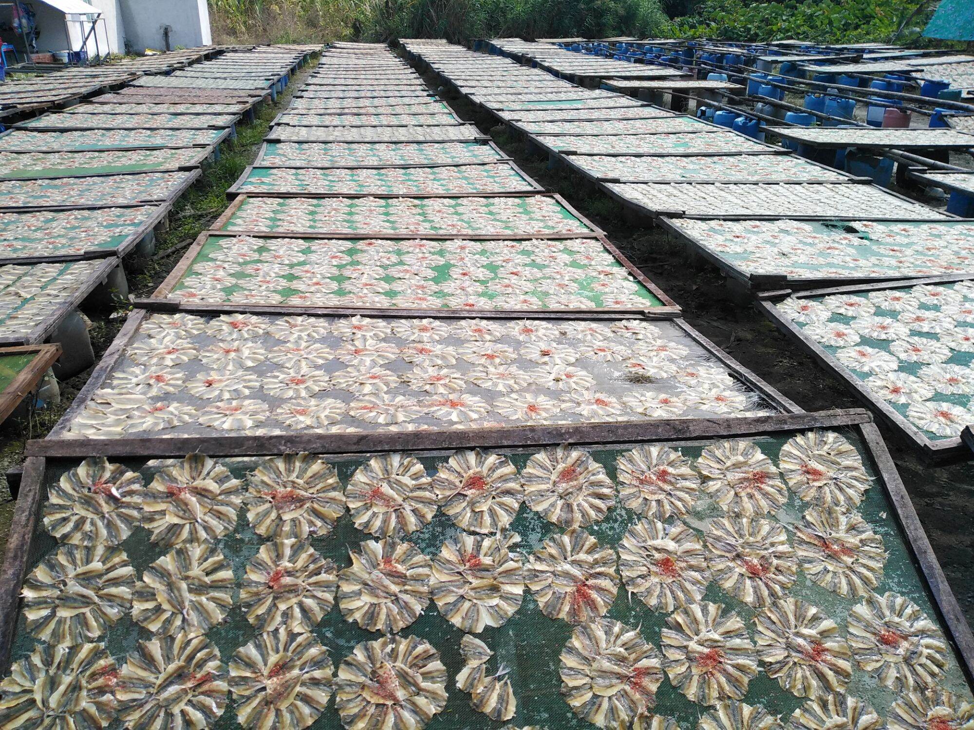 khô cá chỉ vàng 1 vĩ