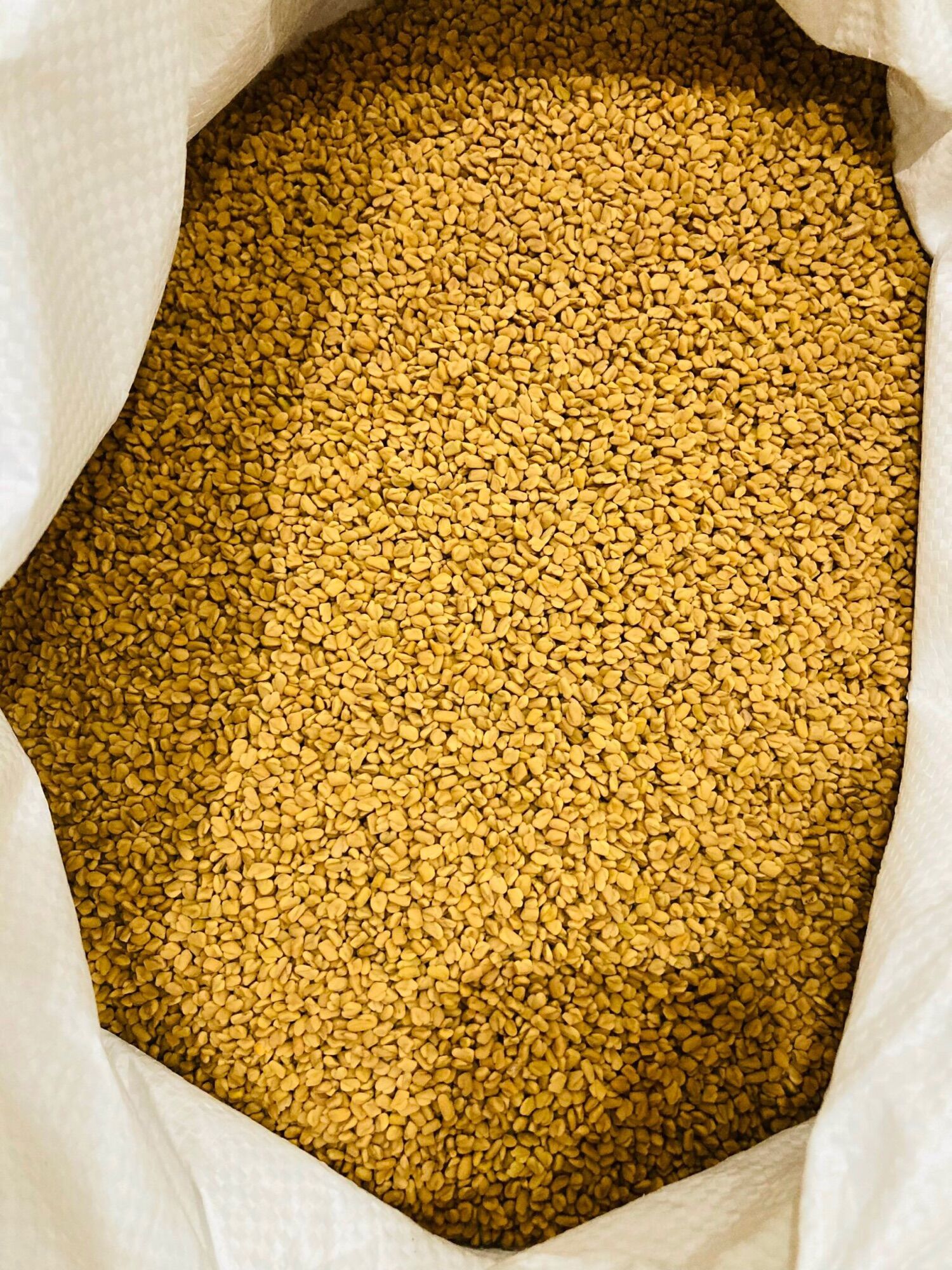 1kg hạt Methi Ấn Độ
