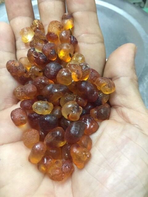 Nhựa Đào (Lệ Đào) Vân Nam gói 500g
