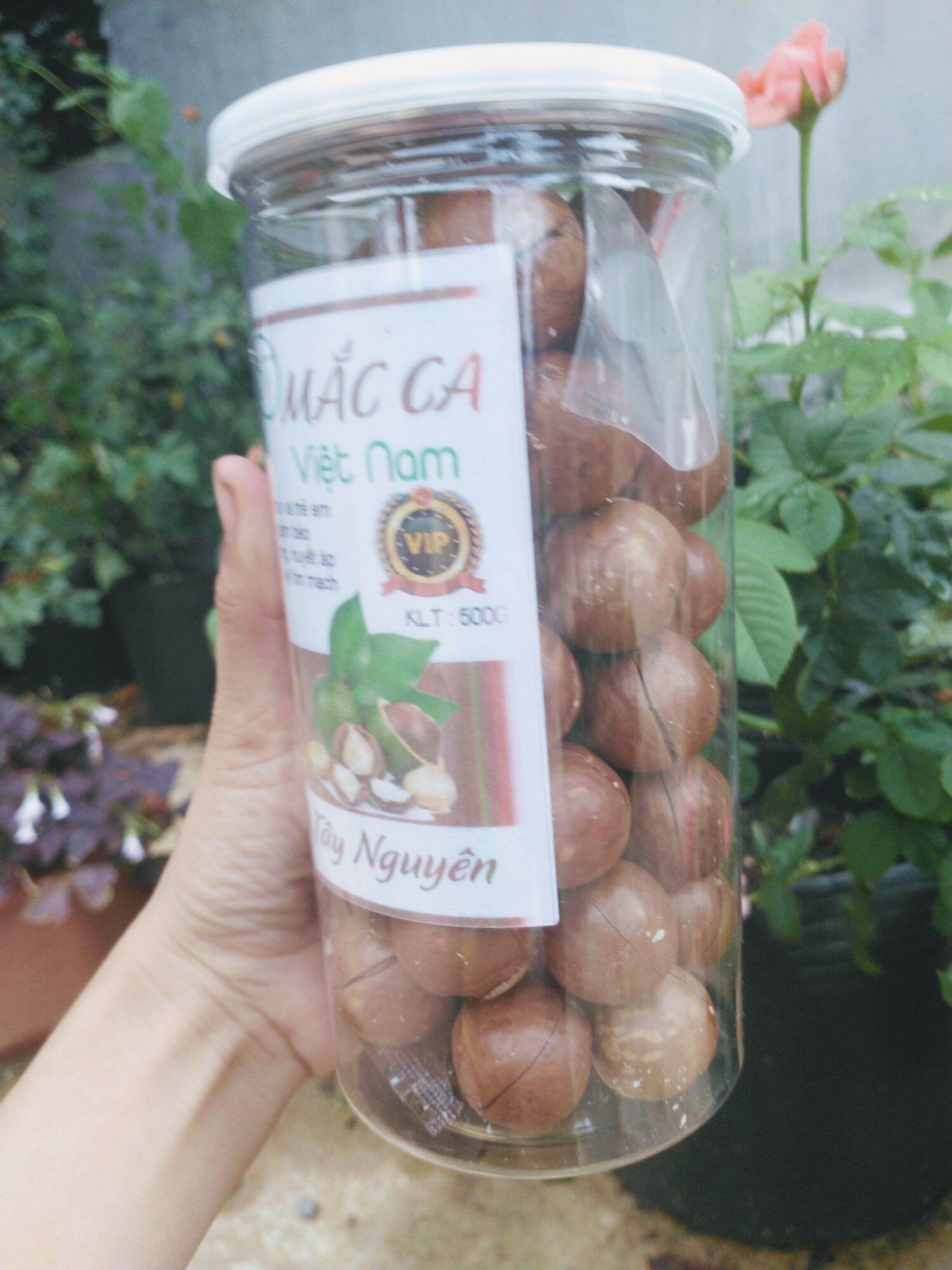 Macca Loại 1 Hộp 500Gram