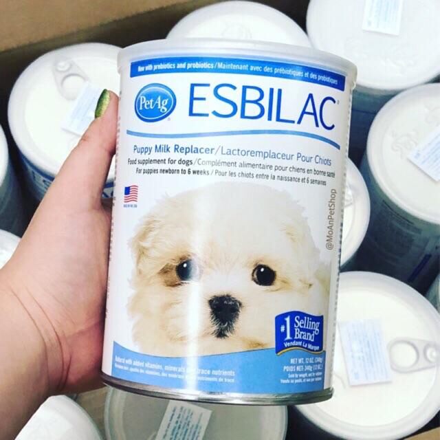 Sữa thay thế cho chó con-sữa bột cho chó con esbilac.