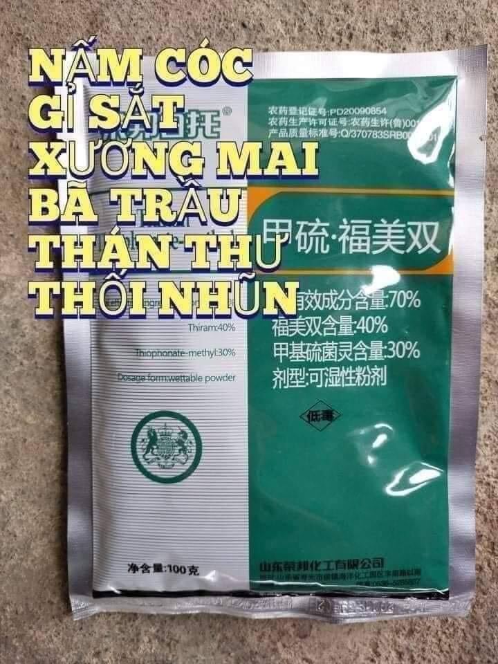 Thuốc trị nấm bệnh, thán thư, sương mai, khô vằn, đạo ôn, thối búp, đốm lá...