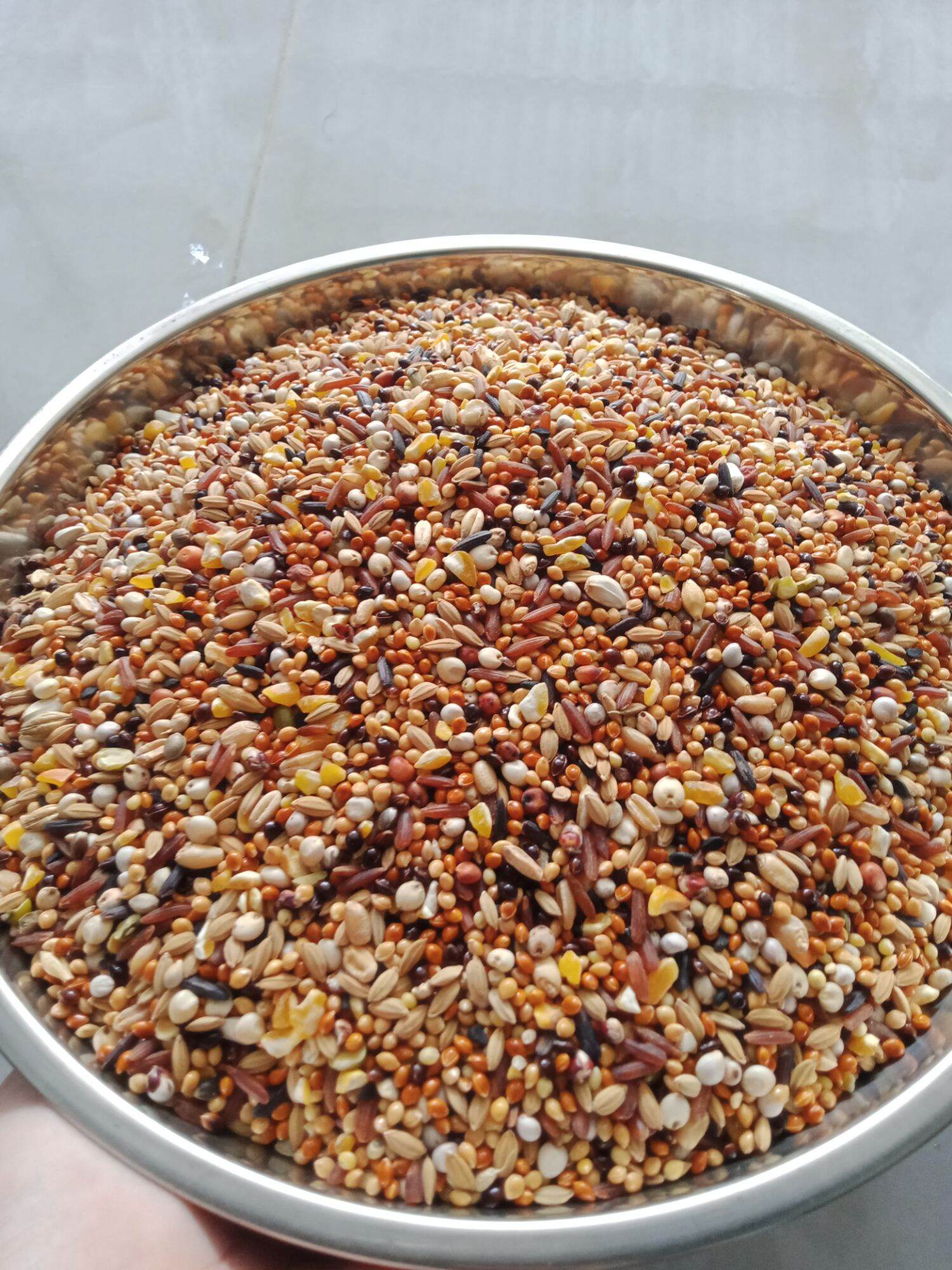 1KG ngũ cốc cho chim cu gáy