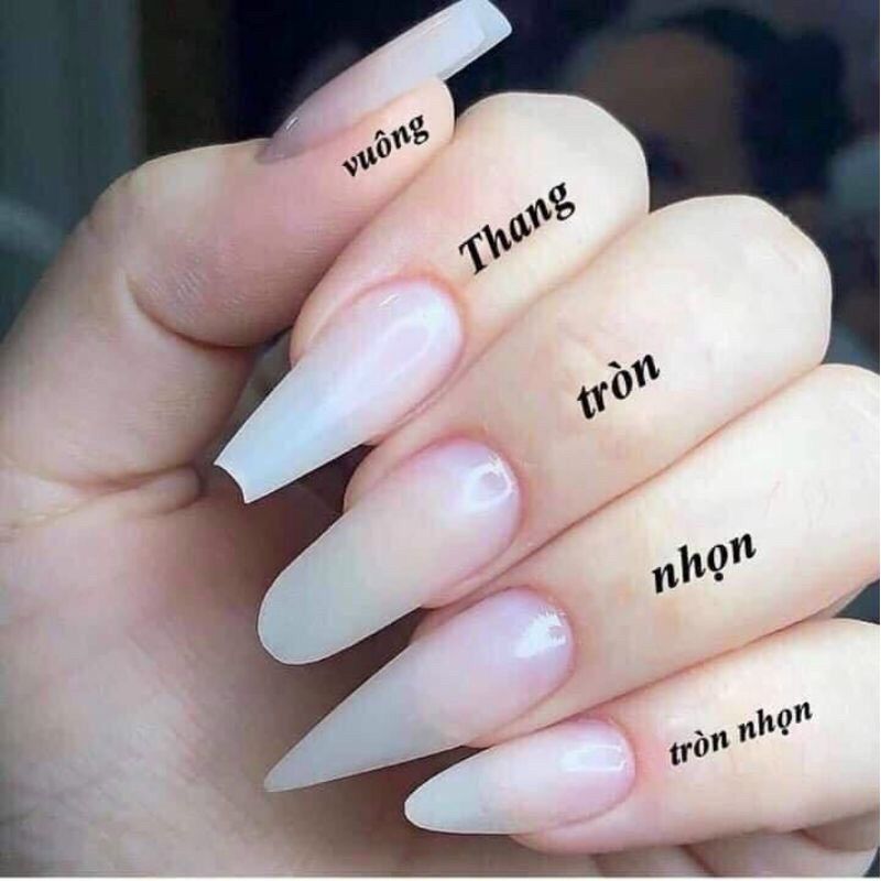 Móng úp tròn nhọn hsm