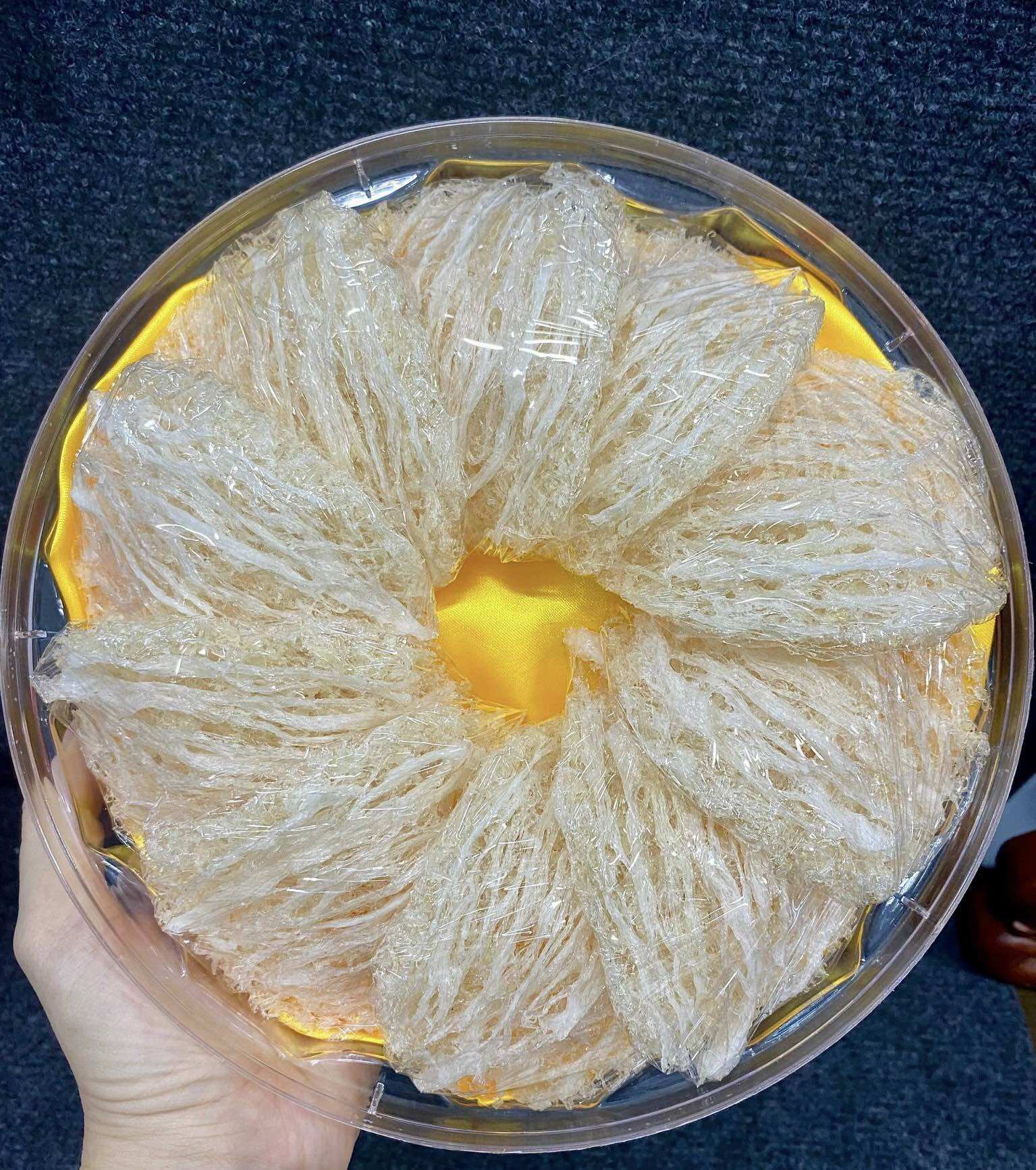 Tổ yến tinh chế sợi Hộp 50gr-100gr tặng kèm đồ chưng táo đỏ, đường phèn
