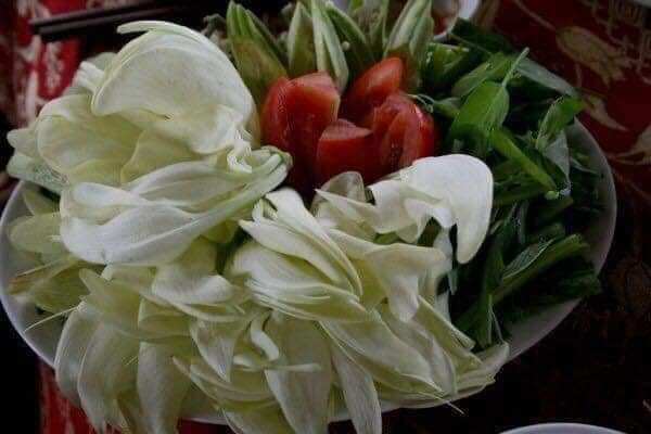 Hạt giống bông so đũa