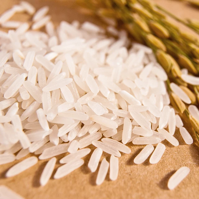 Hạt giống lúa Tám thơm Điện Biên túi 1kg