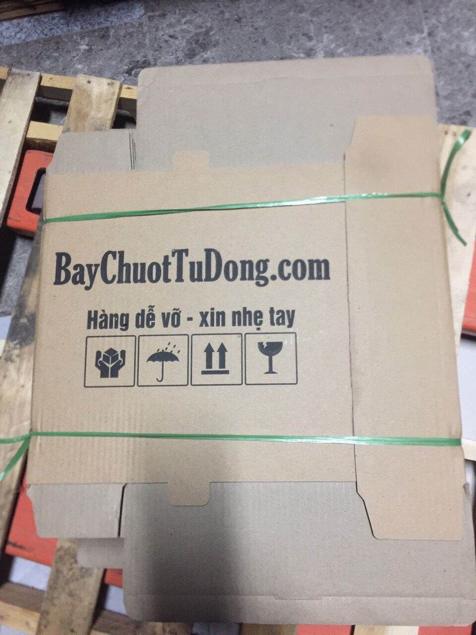 BẪY CHUỘT THÔNG MINH