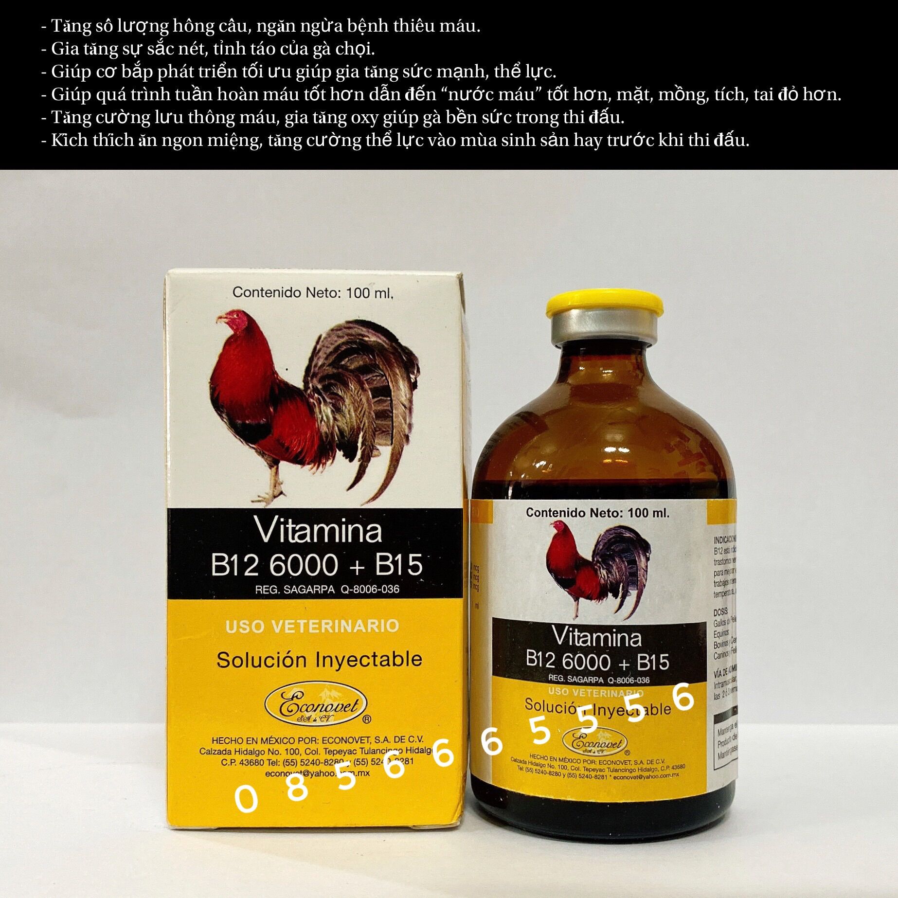 B12 6000 + B15 - Tăng bo , tăng nước máu cho gà đá