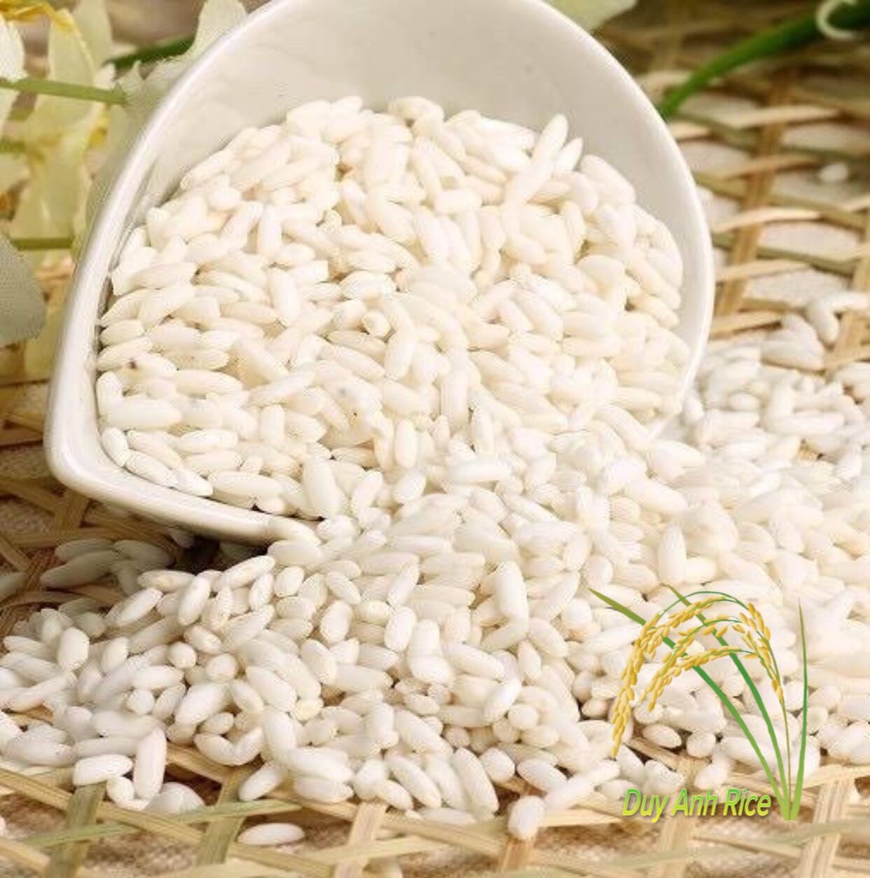Gạo nếp nhung và nếp cái hoa vàng