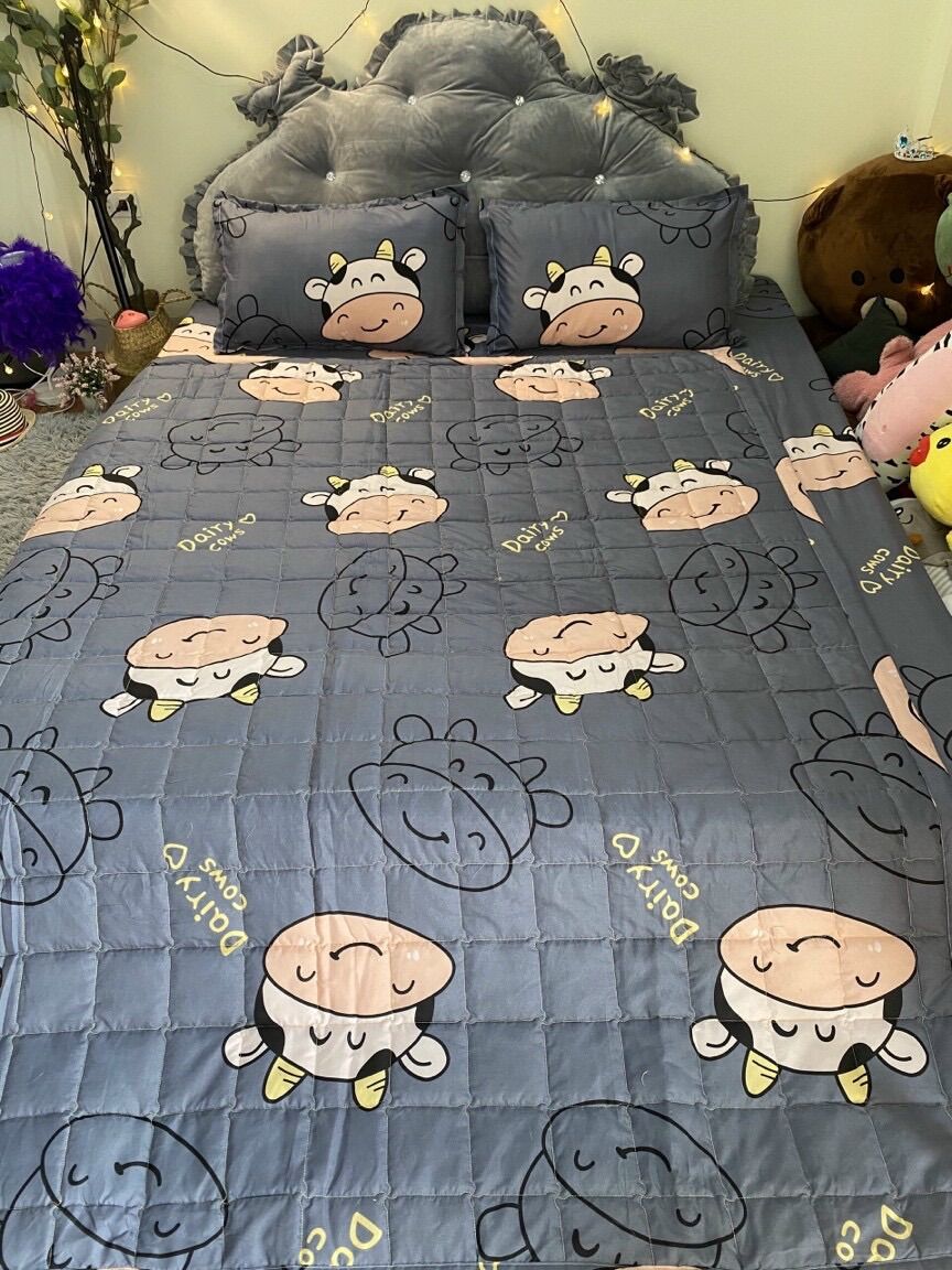 Set chăn hè 5 món cotton poly kích thước 1m2