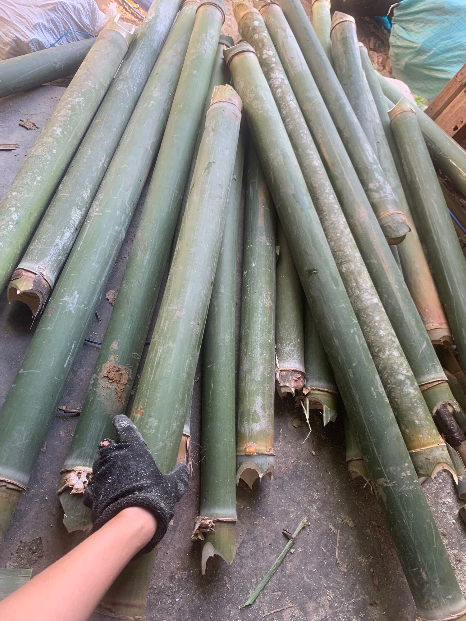 Combo 30 ống làm sáo diều