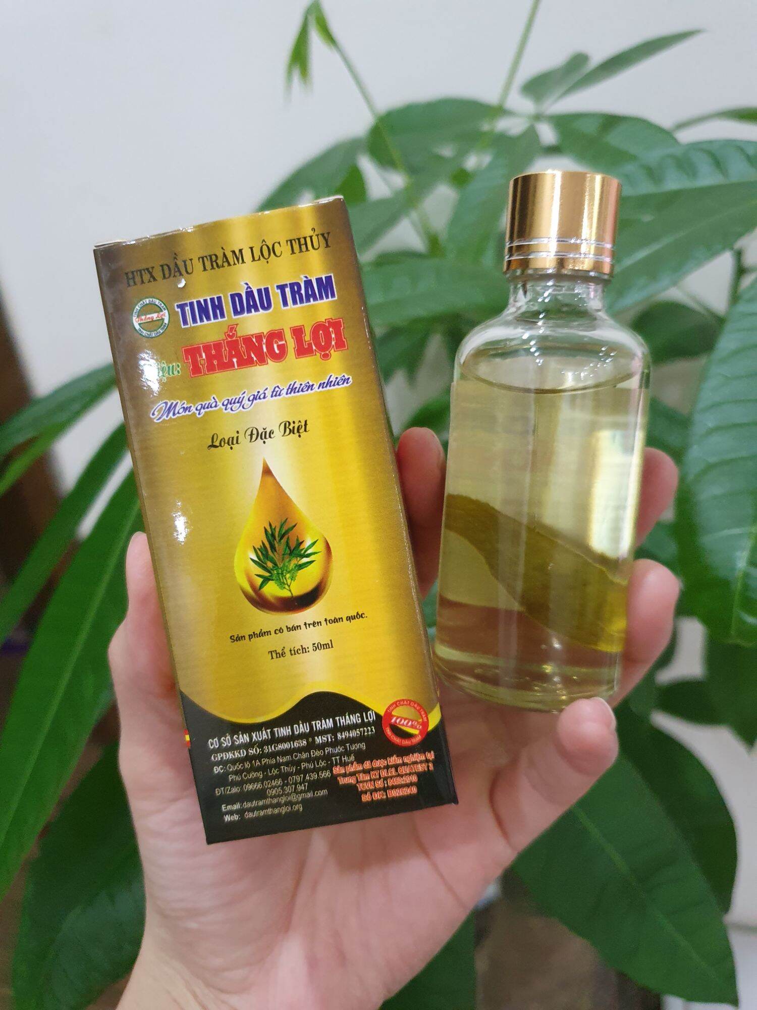 TINH DẦU TRÀM THẮNG LỢI LOẠI ĐẶC BIỆT - 50ml/lọ